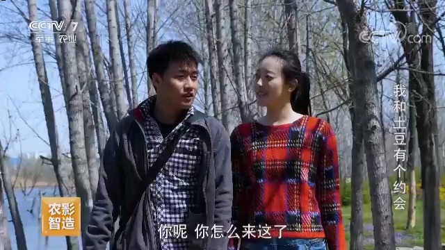 《乡村法制剧场》20190531我和土豆有个约会(20240623BRTV《财富剧场》重播)哔哩哔哩bilibili