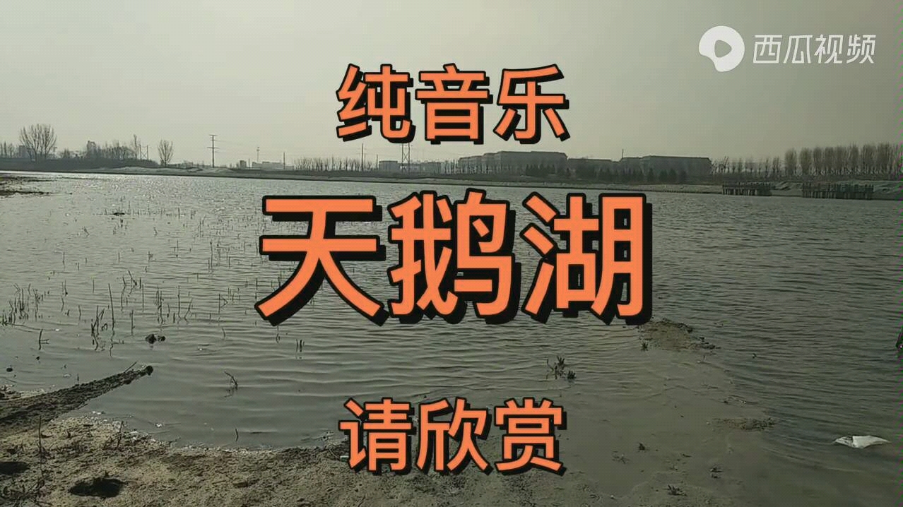 [图]优雅的芭蕾经典世界名曲《天鹅湖》