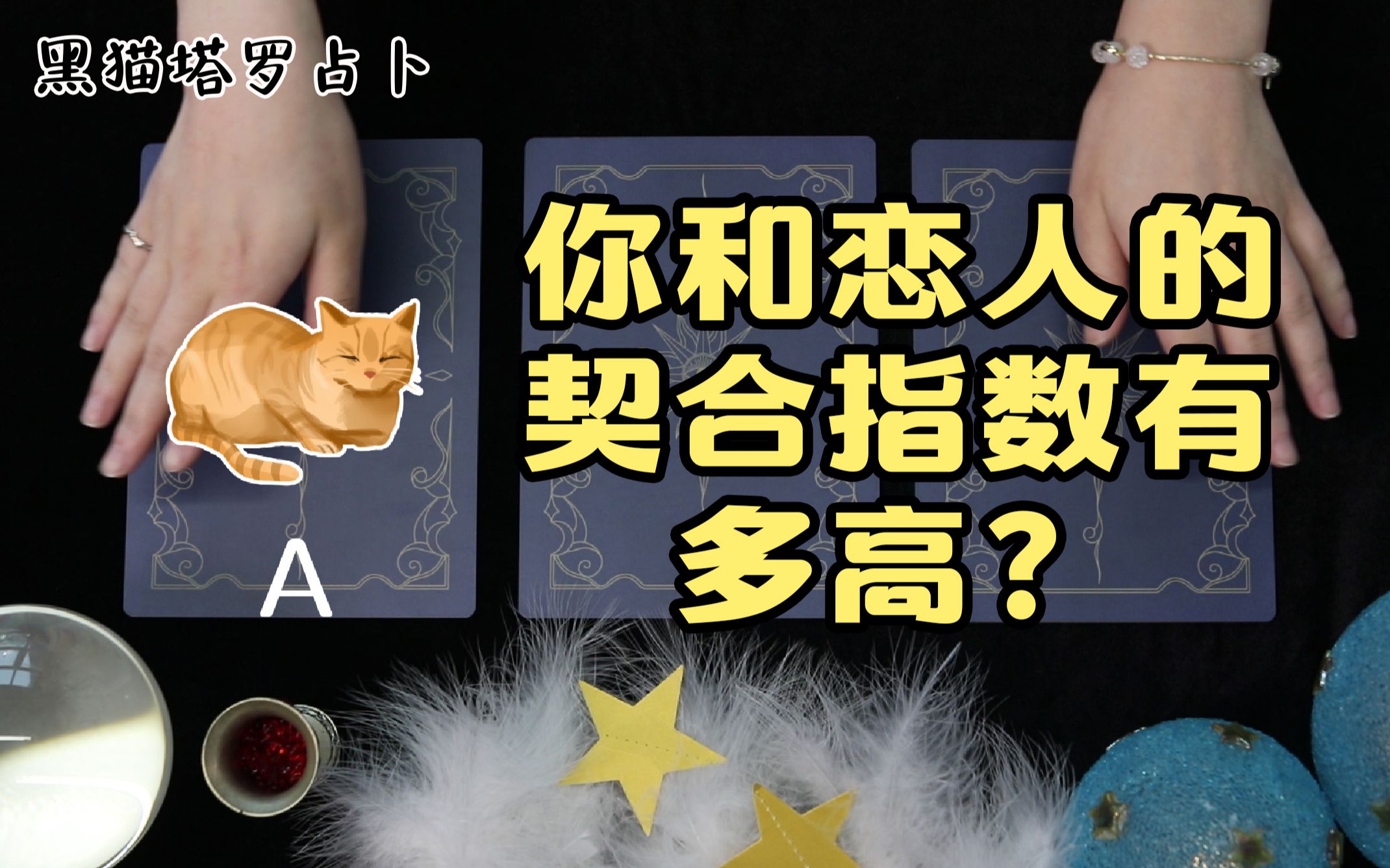 超准爱情测试!你和恋人的契合指数有多高?【黑猫塔罗占卜】哔哩哔哩bilibili