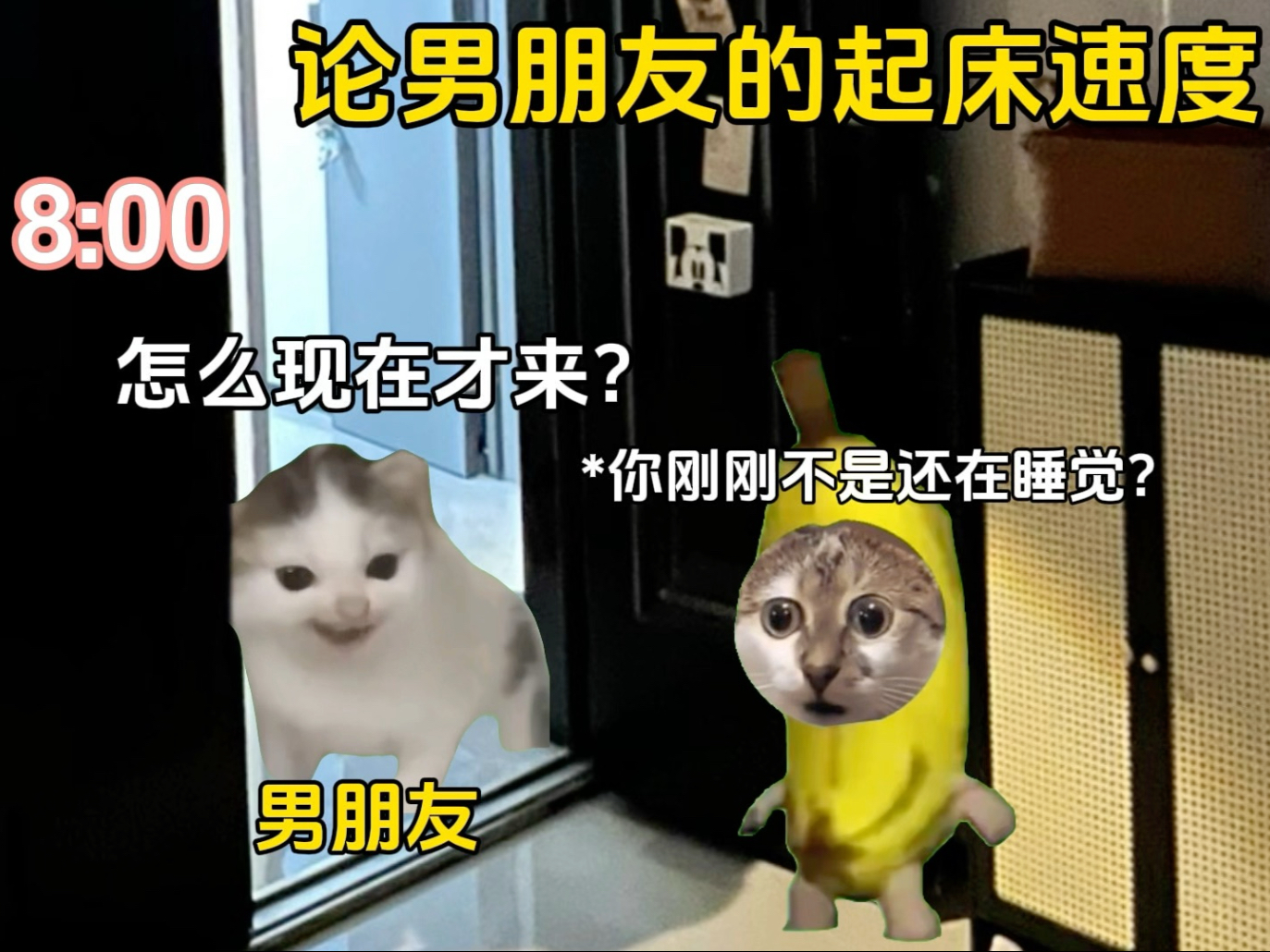 男生起床的速度有多快?-猫meme小剧场江笑笑-猫meme小剧场江笑笑-哔哩哔哩视频