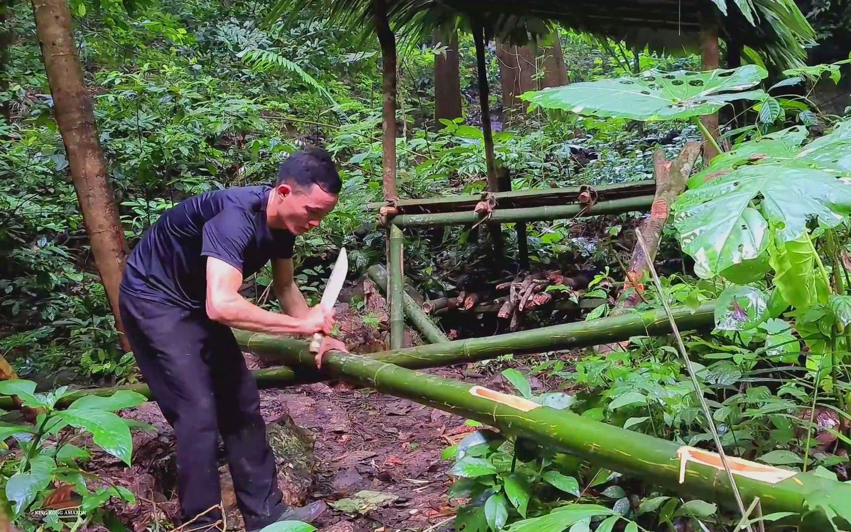 用竹子制作成水管将水引流入庇护所体验热带雨林原始生活