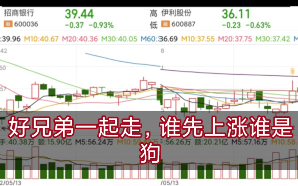 聊聊另一个垃圾,招商银行,你们都是娴娴伪粉!哔哩哔哩bilibili