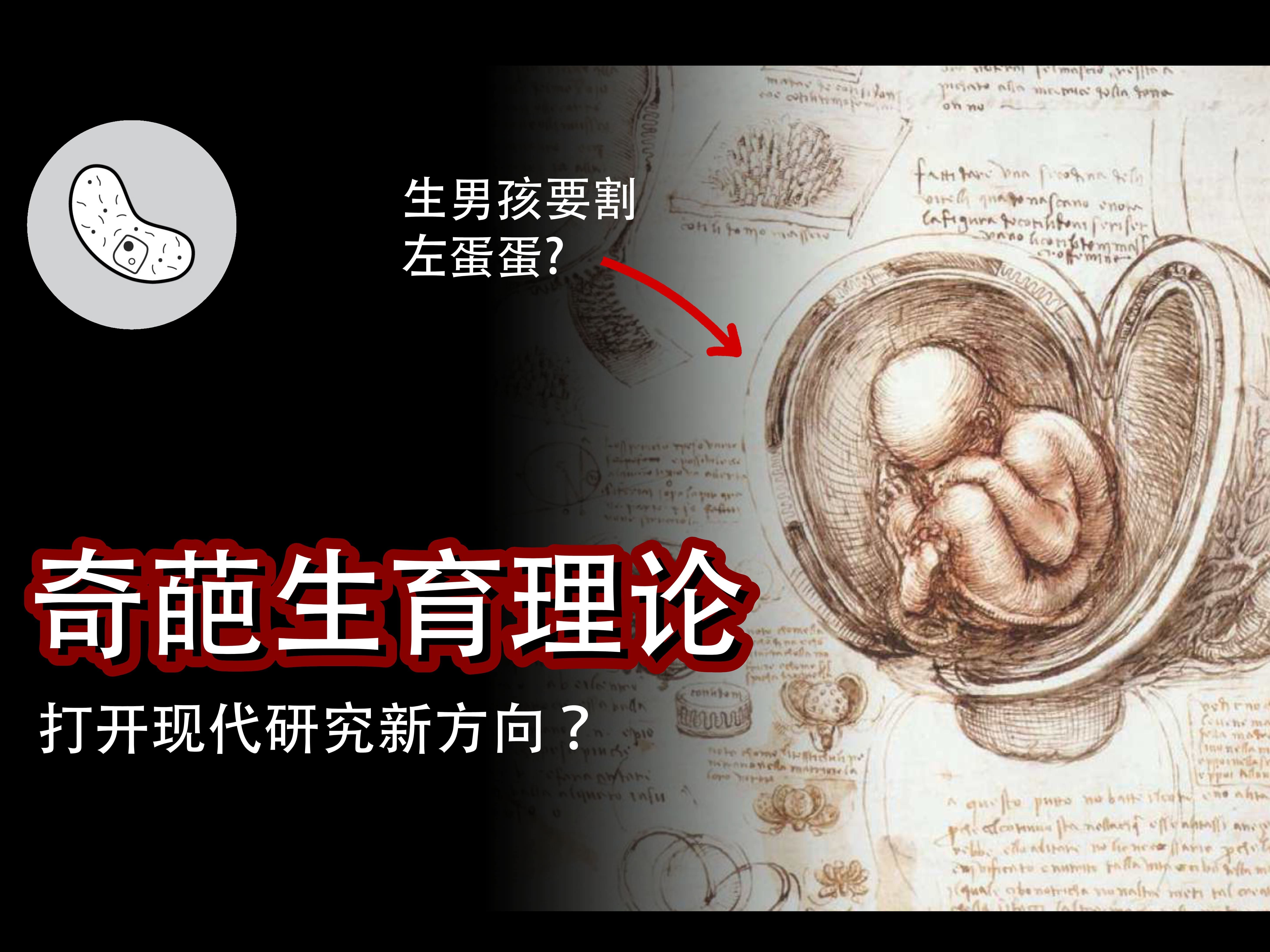 【十分离奇】的古代奇葩生育理论大盘点,生男孩要割左蛋蛋?哔哩哔哩bilibili