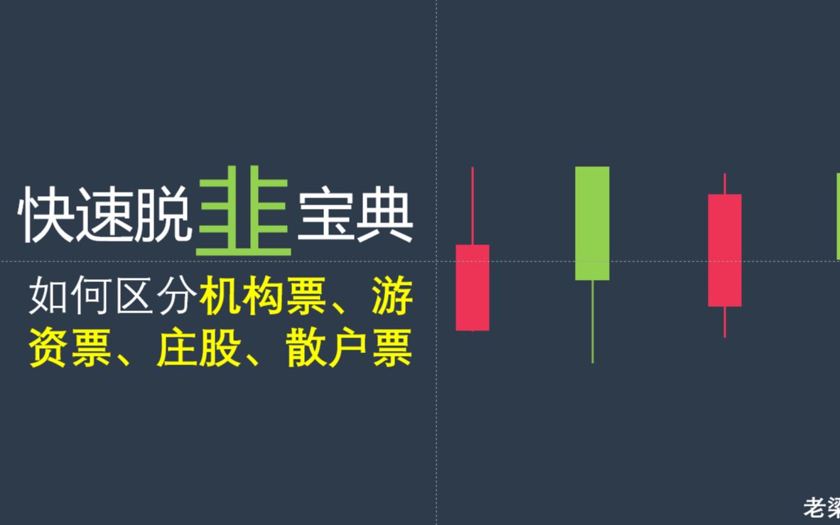 第五讲如何区分机构票游资票散户票和庄股