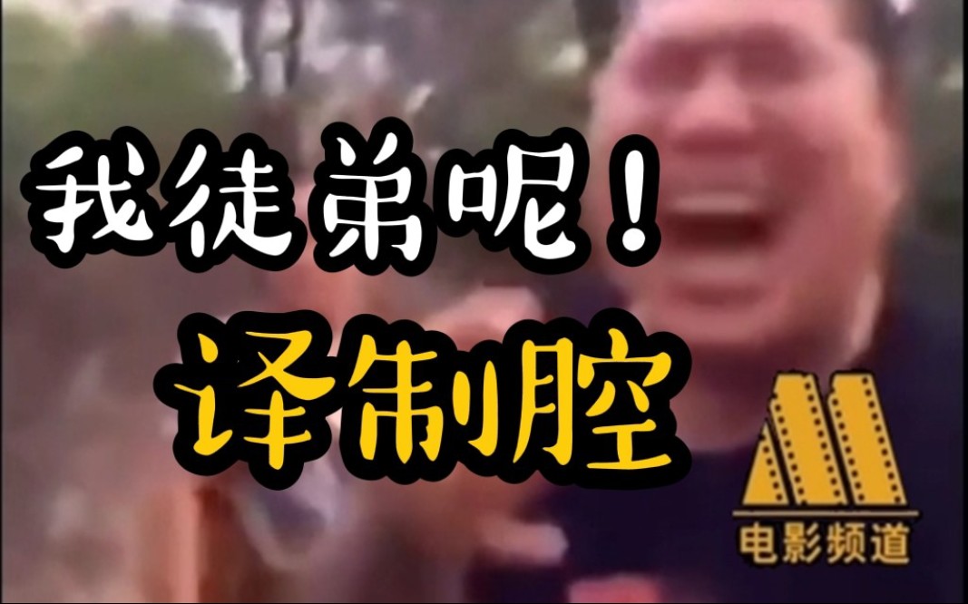 【补档】沈阳大街1之 我徒弟呢?【译制腔版】_哔哩哔哩_bilibili