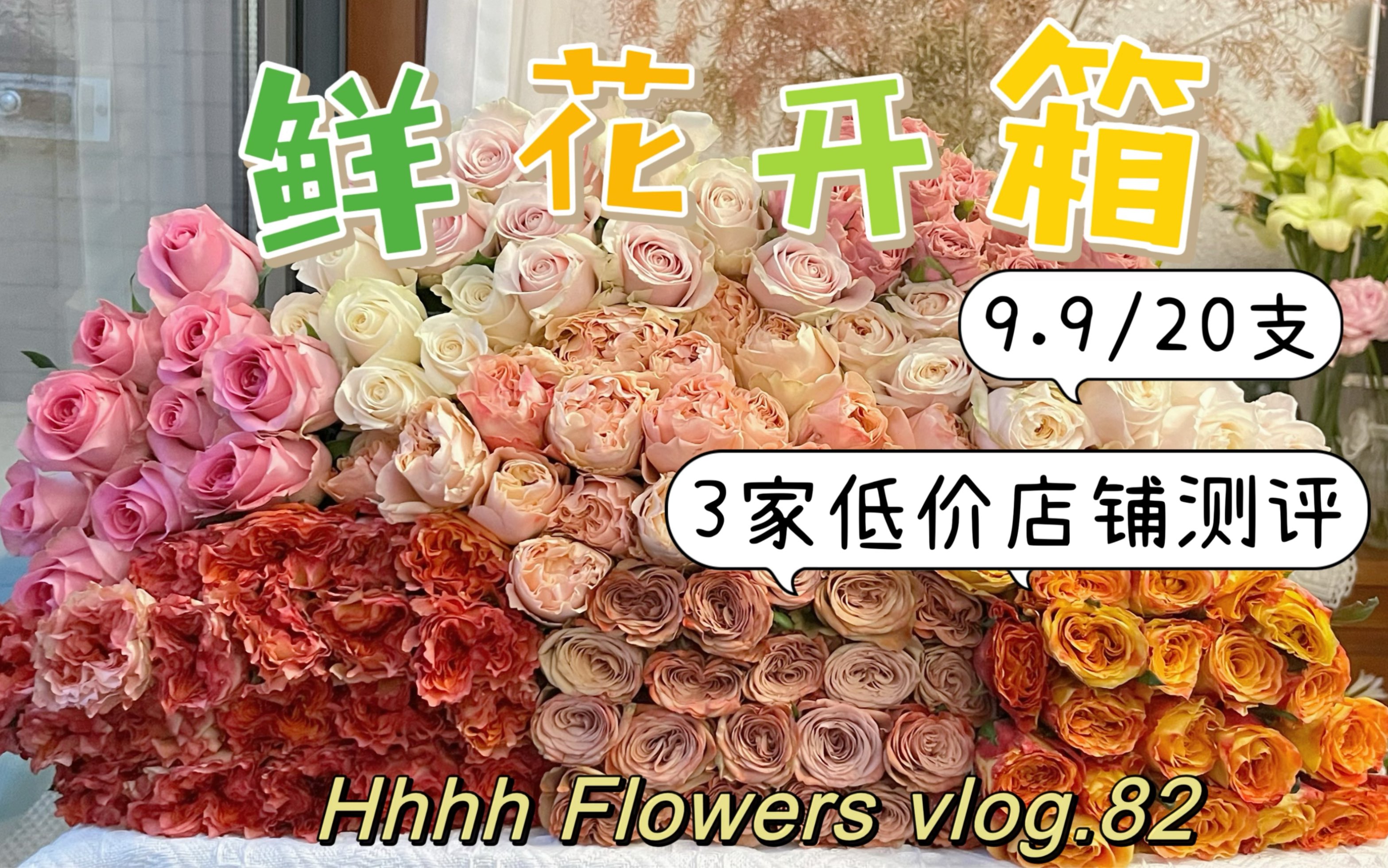 网购鲜花|三家平价中的战斗机!赢很大!哔哩哔哩bilibili