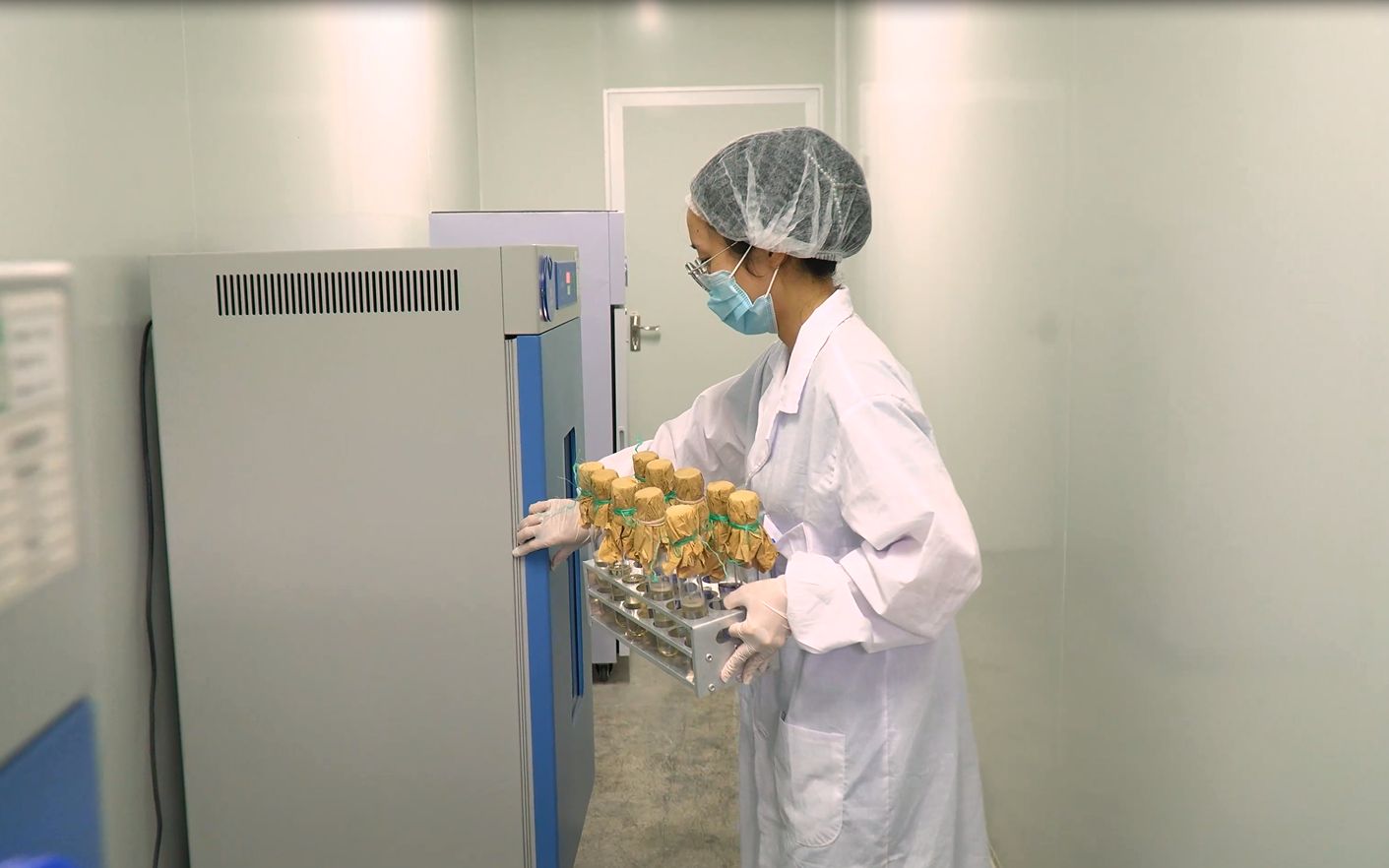 带你走进尤博瑞一睹微生物实验室的标准化操作日常