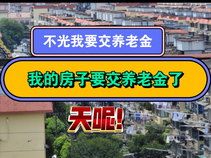 天呢,我还要交30年养老金,我房龄30的房子也要交养老金了!哔哩哔哩bilibili