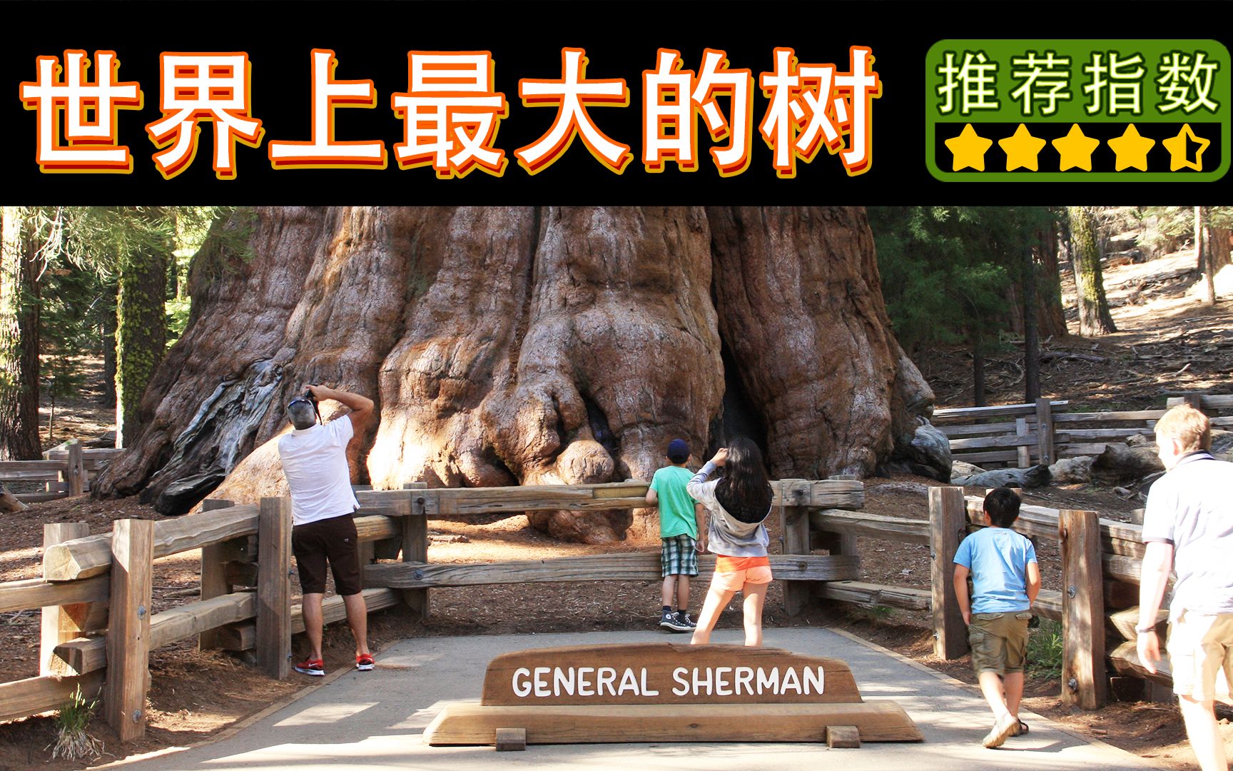 [图]【世界上最大的树舍曼将军树】General Sherman Tree｜同样也拥有世界上最大的树杈