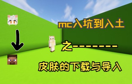 【带你入坑mc】皮肤下载与导入我的世界教学