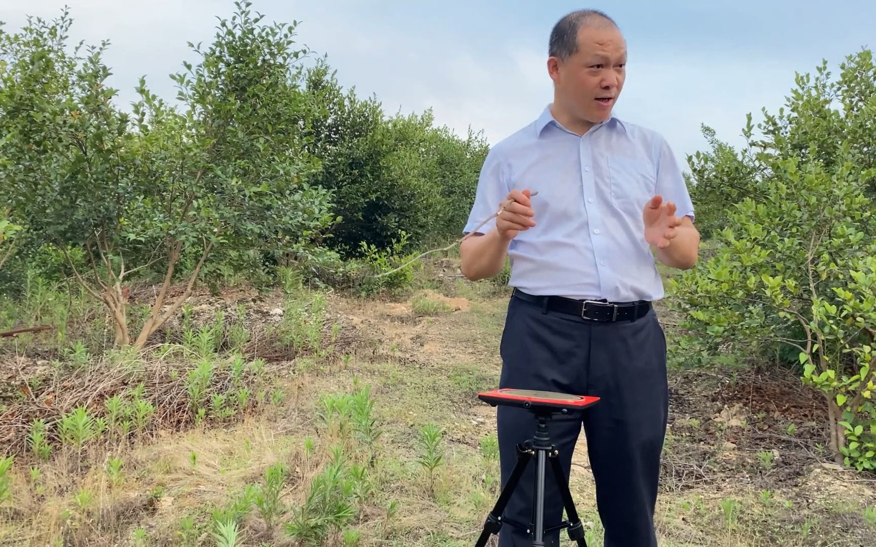 [图]墓地风水好不好，怎样判断风水地大小，风水大师现场说技巧