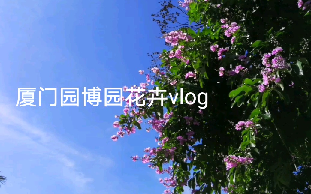 [图]厦门园博园vlog8.彩虹仙子五色花卉合集，花园城市名不虚传！