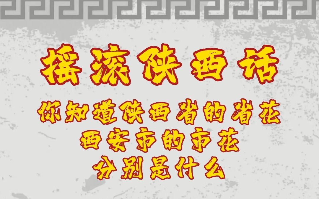 [图]【摇滚陕西话】你知道陕西省的省花、西安市的市花分别是什么吗？