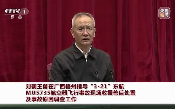 刘鹤王勇在广西梧州指导“3ⷮŠ21”东航MU5735航空器飞行事故现场救援善后处置及事故原因调查工作哔哩哔哩bilibili