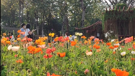 [图]我沉迷于世间的风景