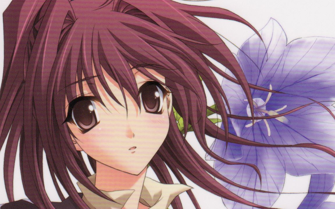 【中文字幕】秋之回忆20周年活动放送(上)memories off