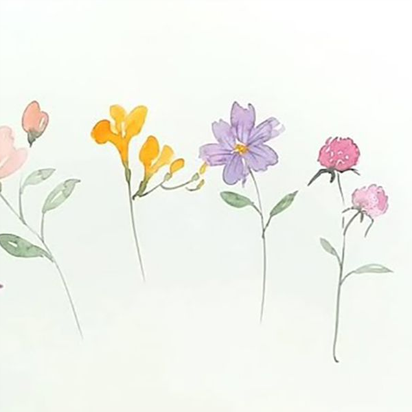 水彩画| 5种类型花朵的画法，入门级水彩教程_哔哩哔哩_bilibili
