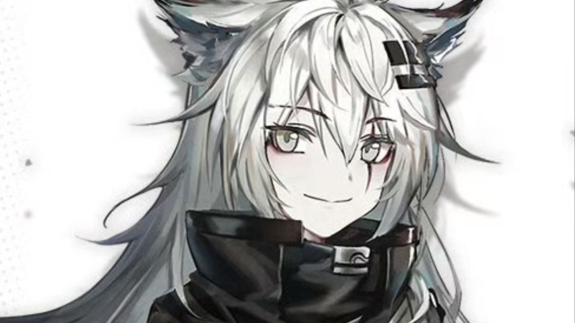 关于拉普兰德的重大发现