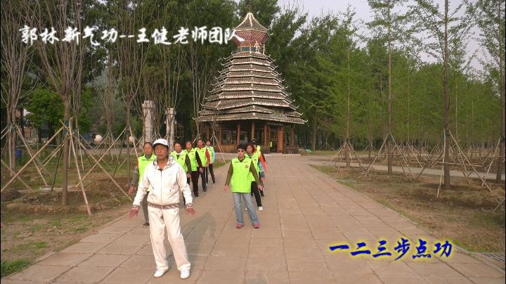 一二三步点功|郭林新气功王健团队功法演示哔哩哔哩bilibili