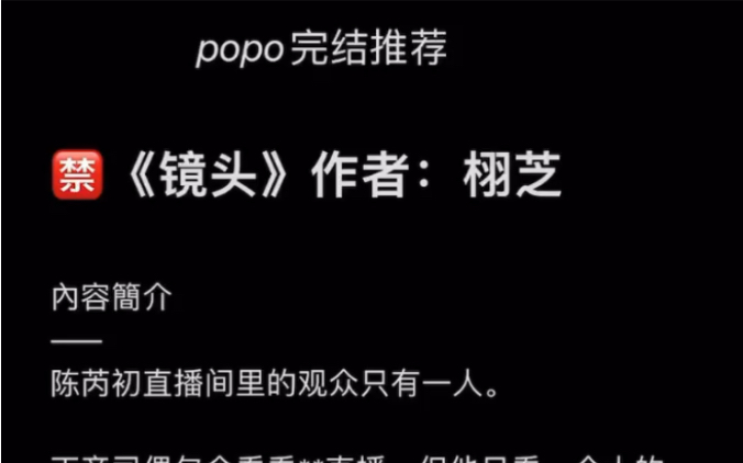 【popo完结推荐】《镜头》作者:栩芝【全文无删减无乱码txt阅读】哔哩哔哩bilibili