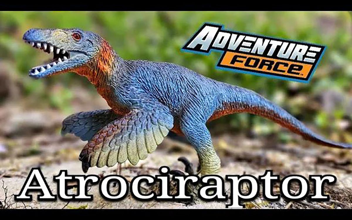 2023 adventure force 野蛮盗龙 评论!