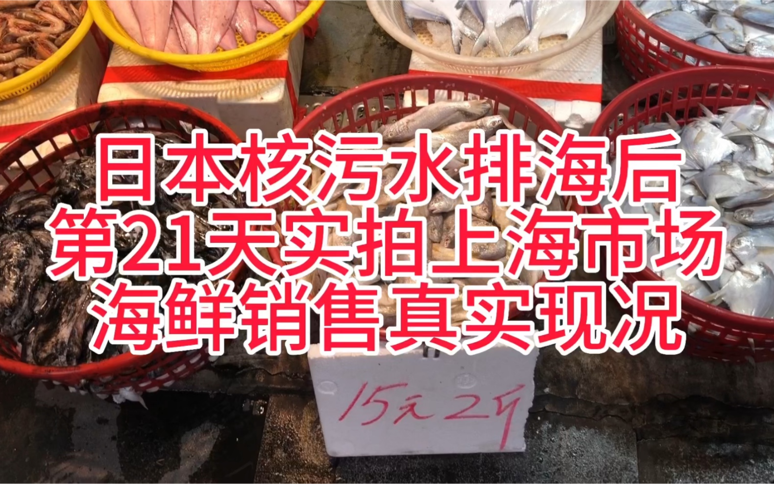 日本核污水排海后第21天实拍上海市场海鲜销售真实现况哔哩哔哩bilibili