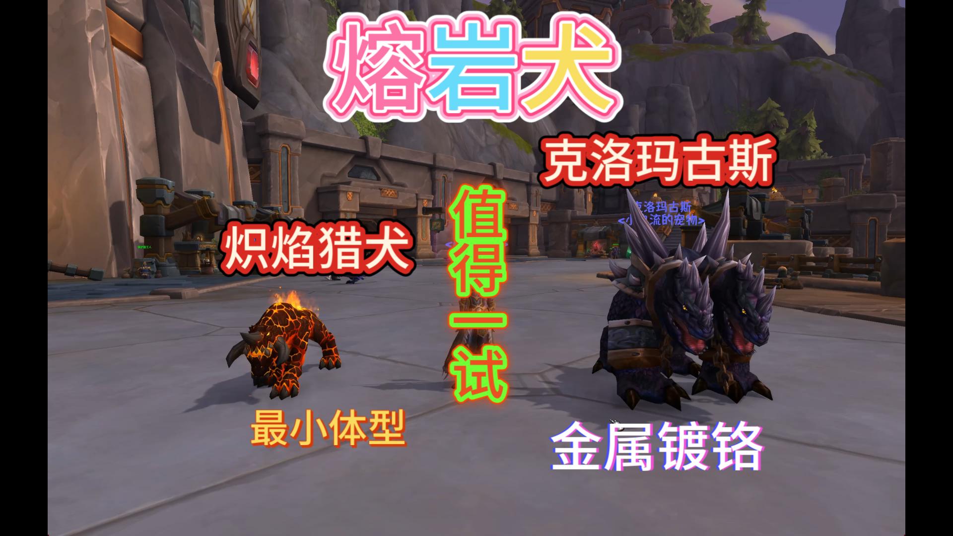 魔兽世界熔岩犬宠物推荐