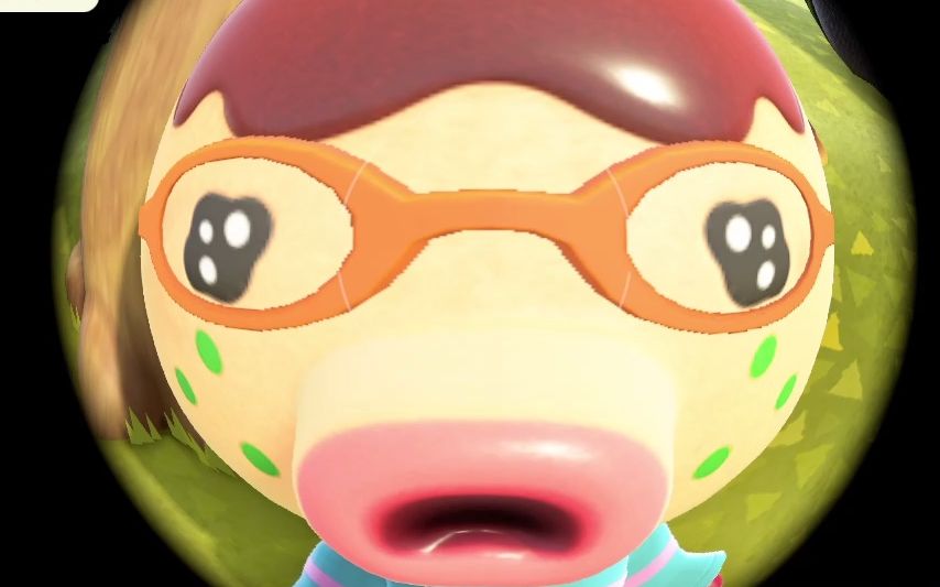 【动森】章丸丸人生最惨的一次