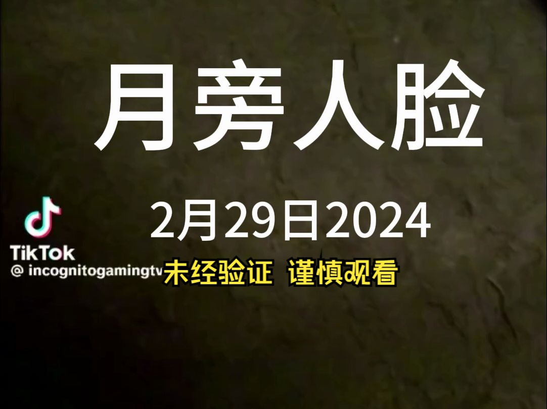 月伴人脸 2月29日.理性观看, 仅供参考哔哩哔哩bilibili