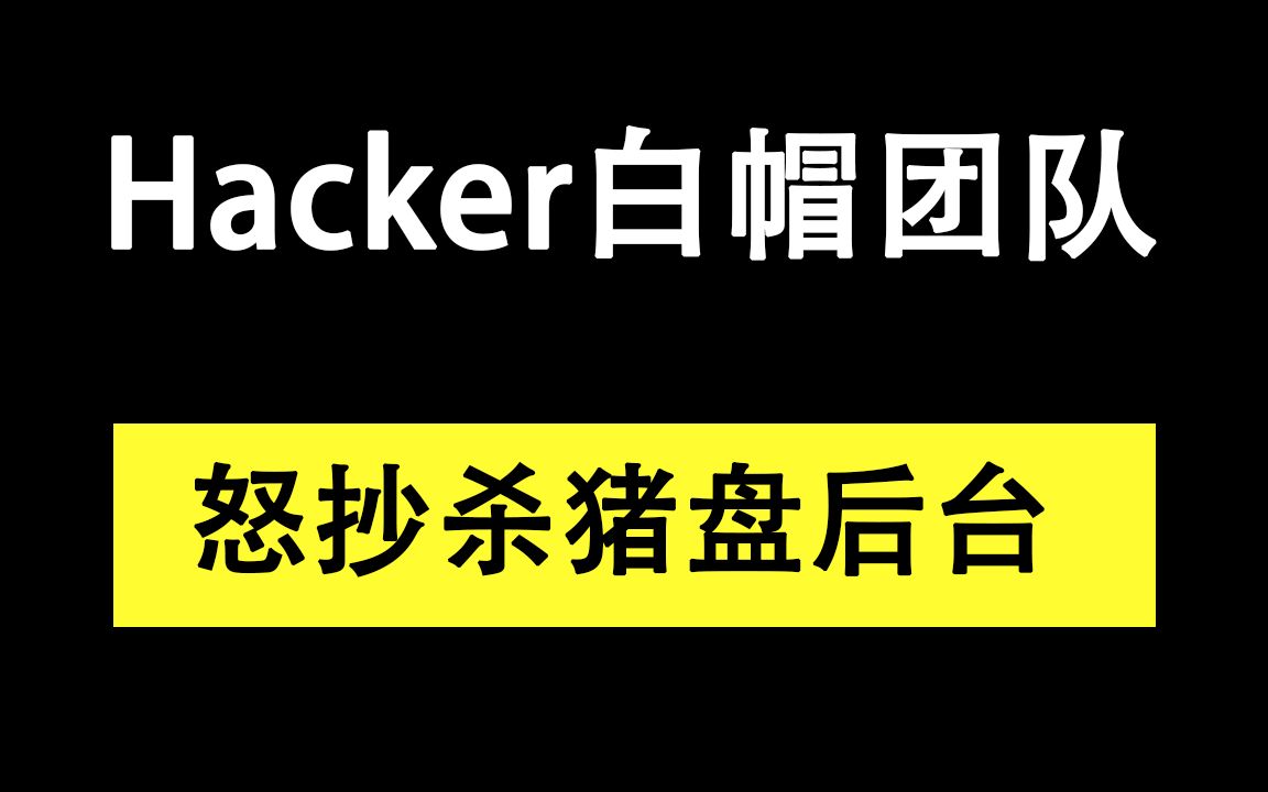 hacker白帽团队怒抄杀猪盘后台哔哩哔哩bilibili