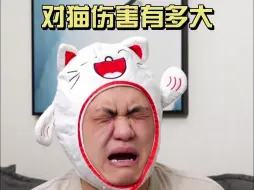 Download Video: 到底什么才是真的？猫咪和铲屎官当场对峙！