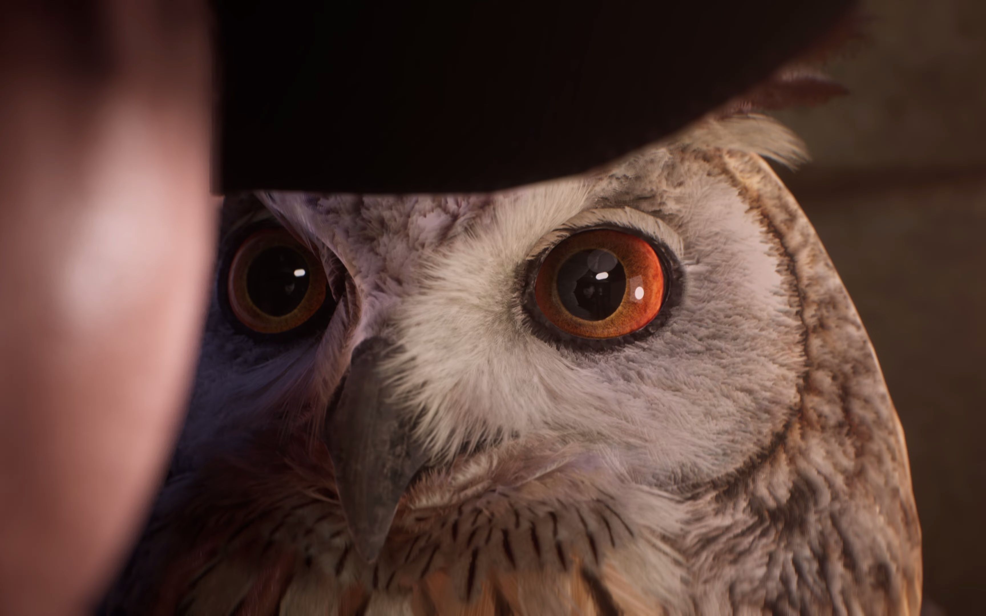 勇敢猫头鹰送信-霍格沃茨之遗电影式cg宣传片-普通发呆白咕咕-猫头鹰