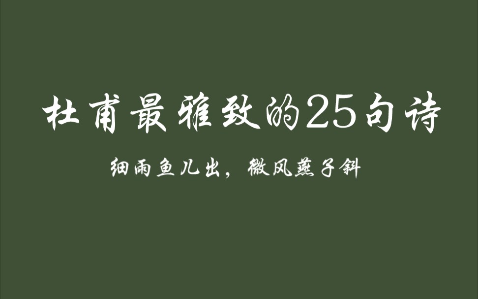 细雨鱼儿出,微风燕子斜|杜甫最雅致的25句诗,极显炼字之精!哔哩哔哩bilibili