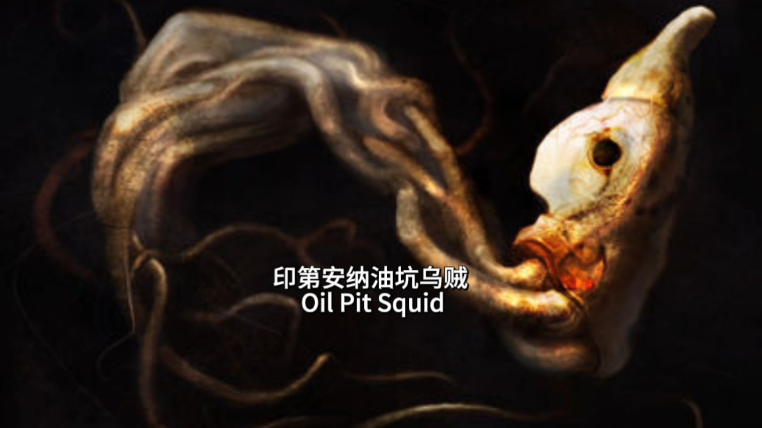 “印第安纳油坑乌贼”讲解海报