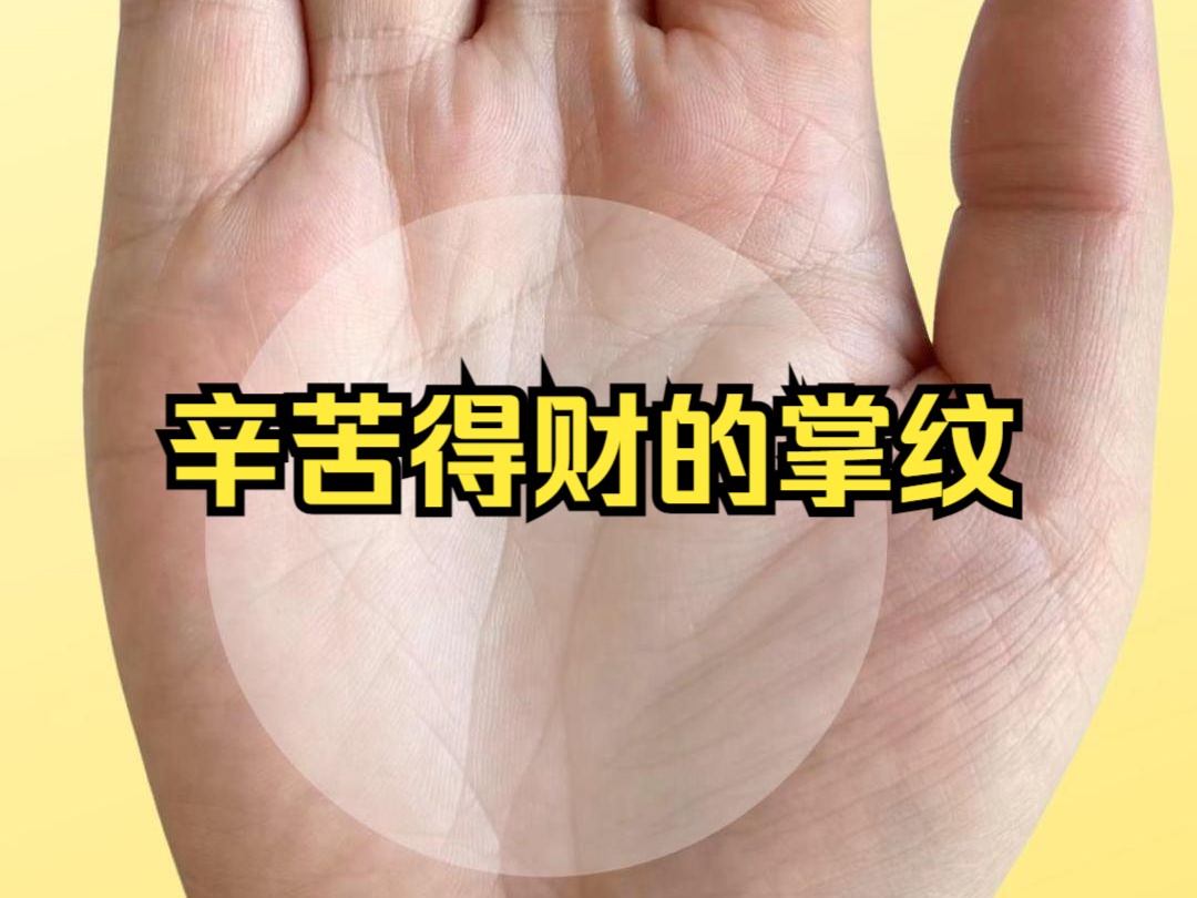 辛苦得财的掌纹