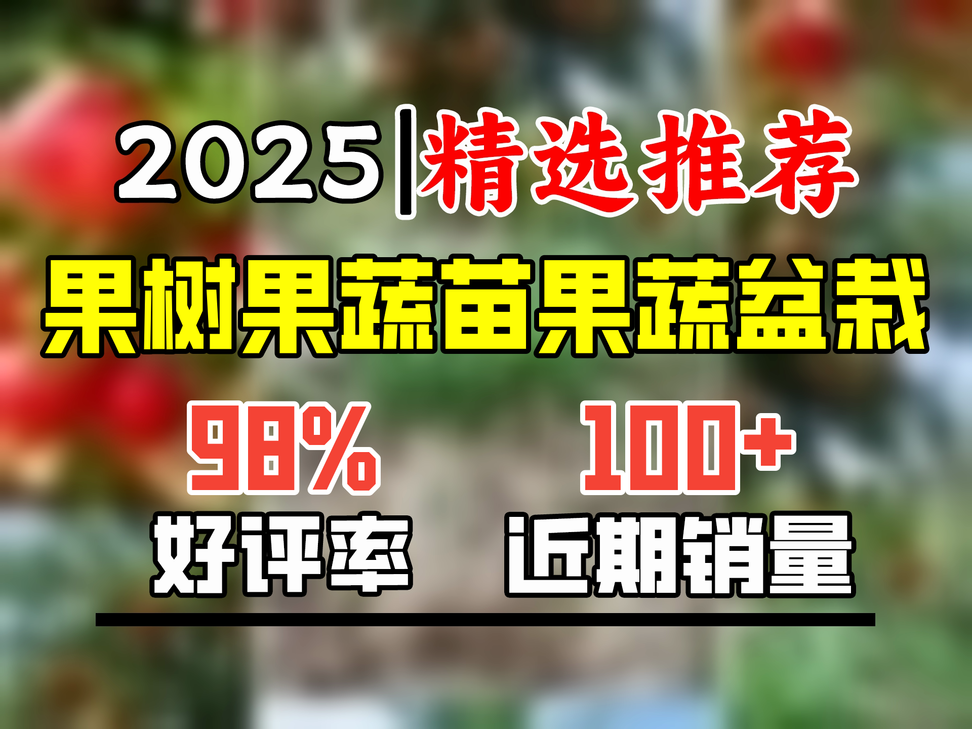 滨淇石榴树苗果树苗托尼斯软籽石榴苗地栽盆栽南北方种植3厘米粗1棵哔哩哔哩bilibili