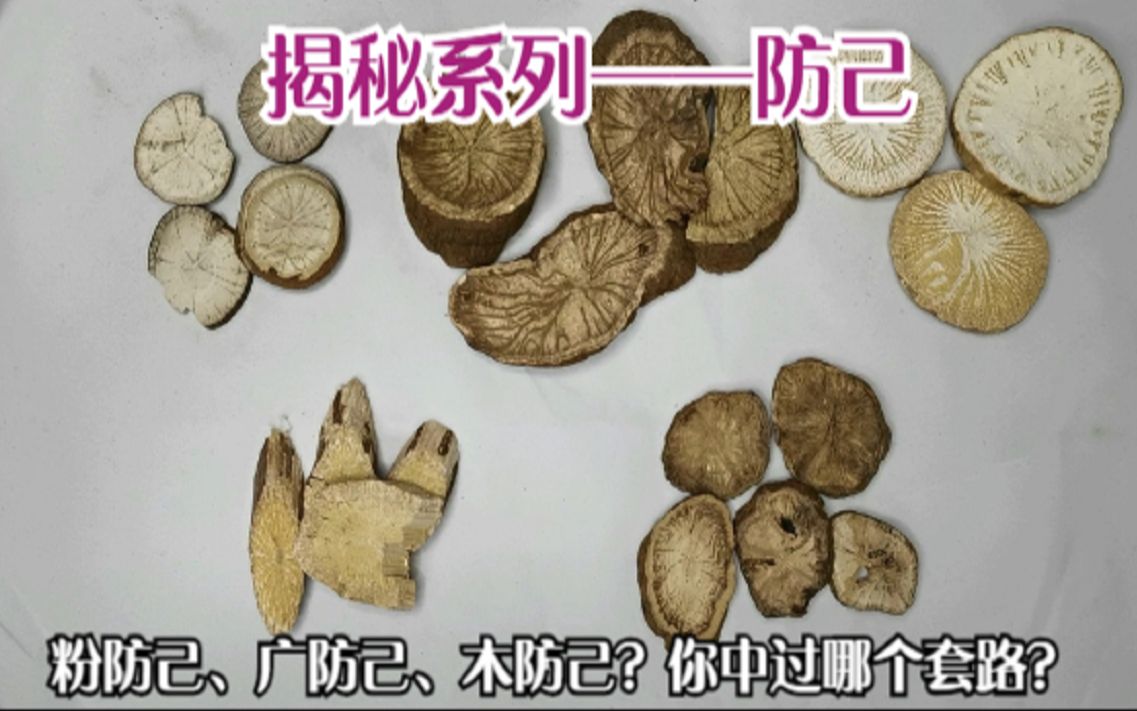 防己的功效(防己的功效大揭秘,祛湿解毒,预防感冒)