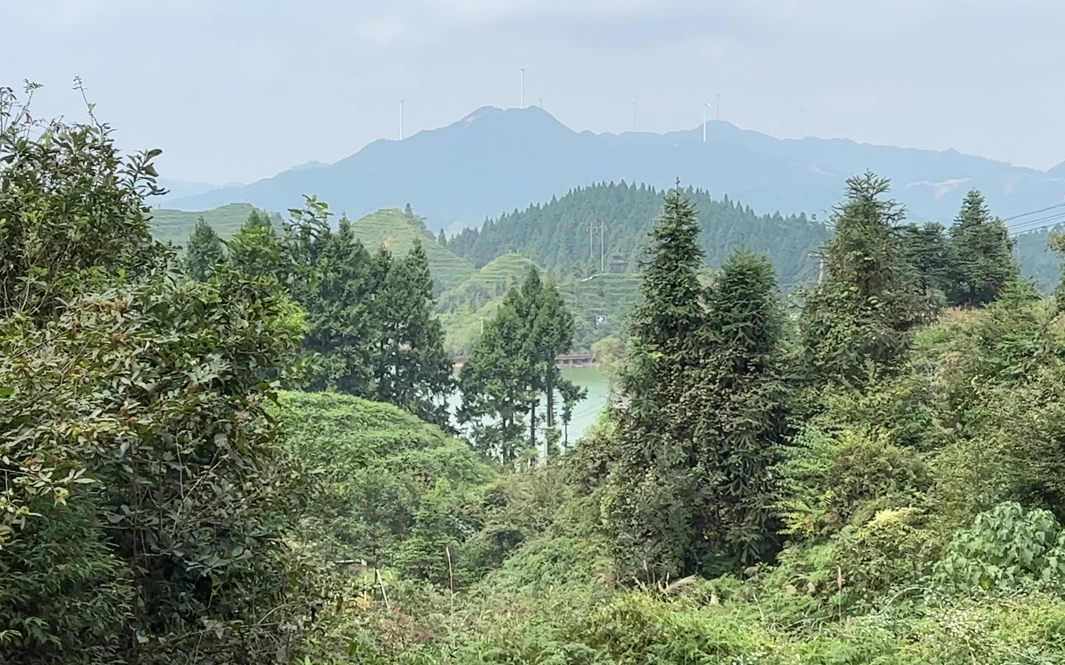 赵一铭四川寻龙点穴,这样的朝案很难得,一起来看看哔哩哔哩bilibili