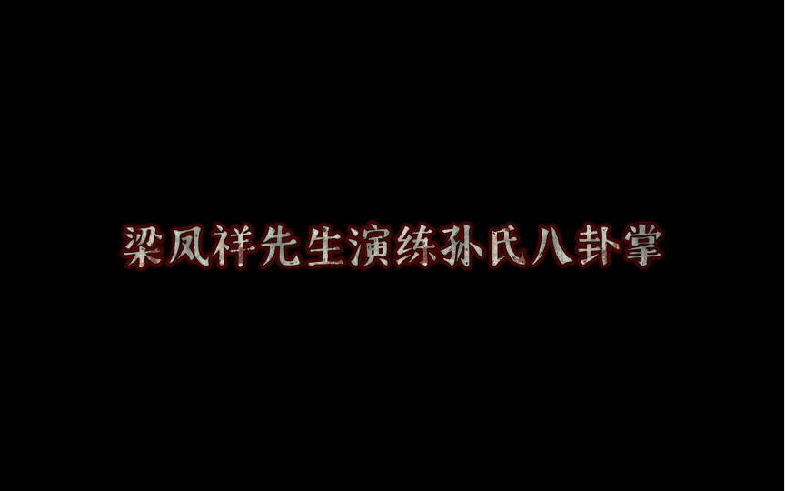 孙氏八卦拳第三代传人梁凤祥先生演练孙氏八卦拳哔哩哔哩bilibili