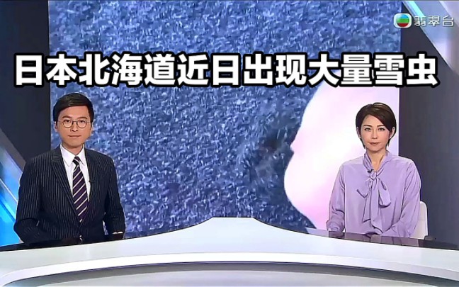 【TVB翡翠台】国际简讯:日本北海道近日出现大量“雪虫”哔哩哔哩bilibili