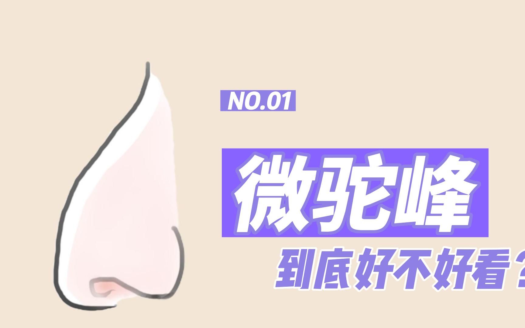 【审美】驼峰鼻好不好看?哔哩哔哩bilibili