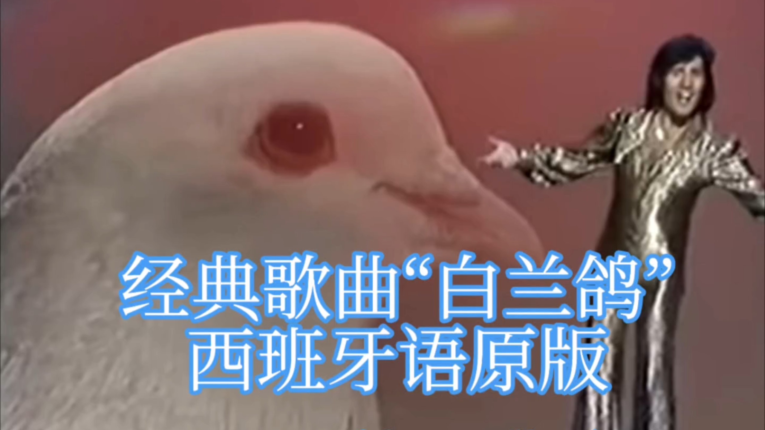 经典歌曲"白兰鸽" 大部分人没听过的稀有西语原版!