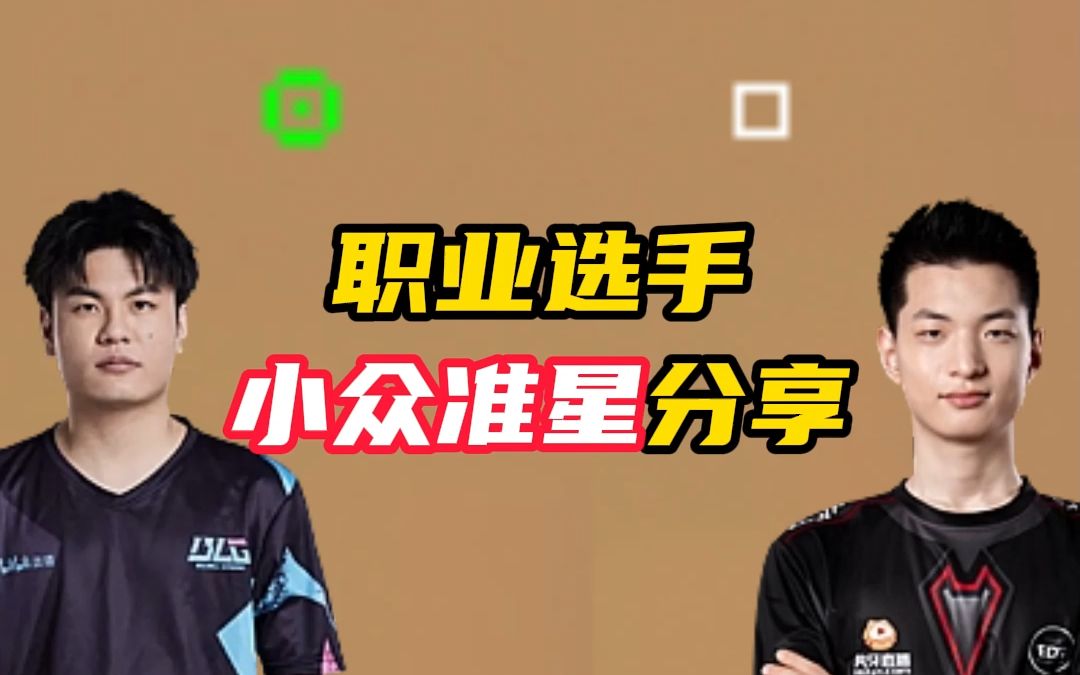 进化者公开赛nobody,王昊哲小众准星【无畏契约】