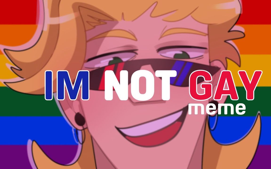 im not gay - meme - u.s.a (oc)_哔哩哔哩_bilibili