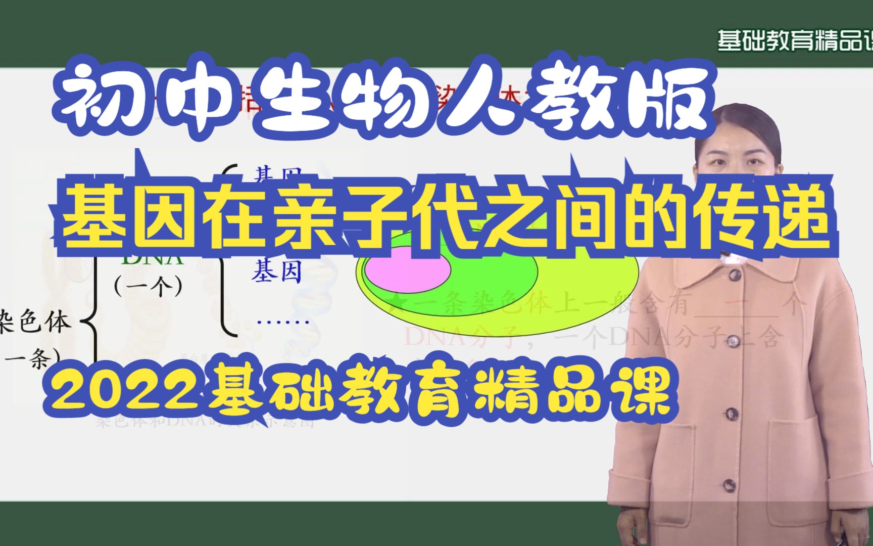 [图]基因在亲子代间的传递|人教版|初中生物|公开课|2022国家基础教育精品课