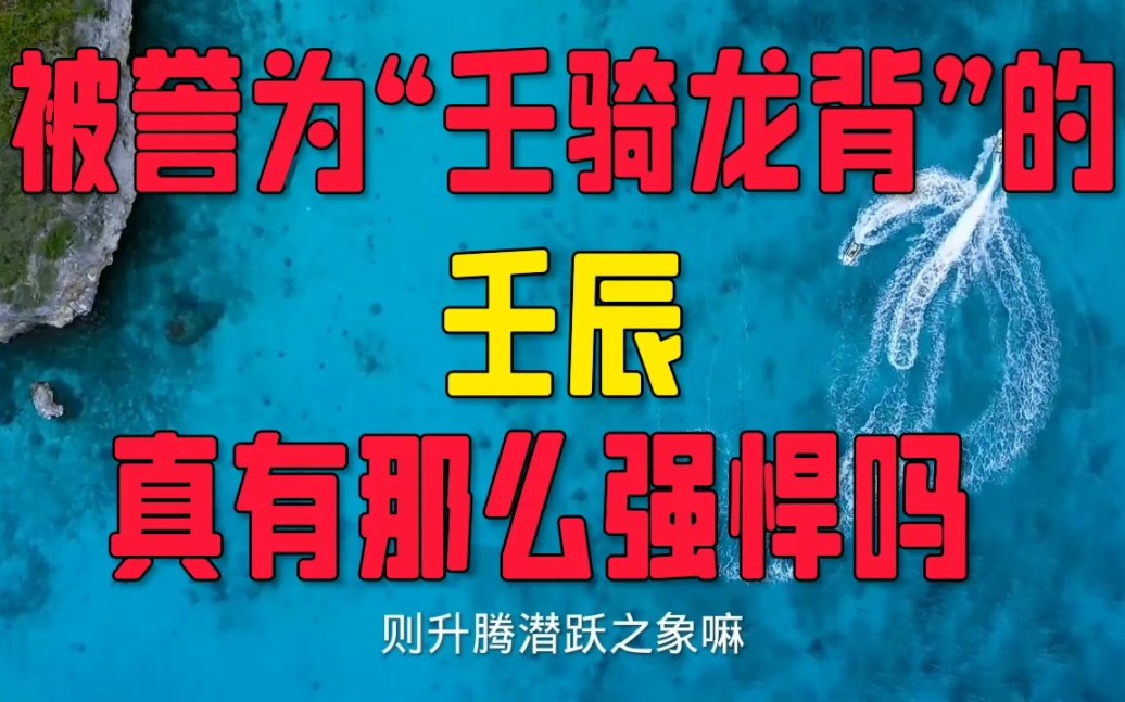 四柱六十甲子当中的壬辰日柱你是怎样理解的,特点是什么?哔哩哔哩bilibili