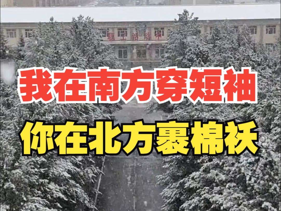 黑龙江伊春迎今秋首雪,谁懂我这个IP的羡慕?!哔哩哔哩bilibili