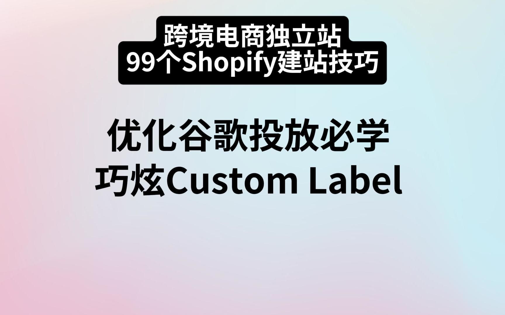 谷歌投放优化必学的技巧?如何在Shopify快速编辑GMC的Custom Label?(40)哔哩哔哩bilibili