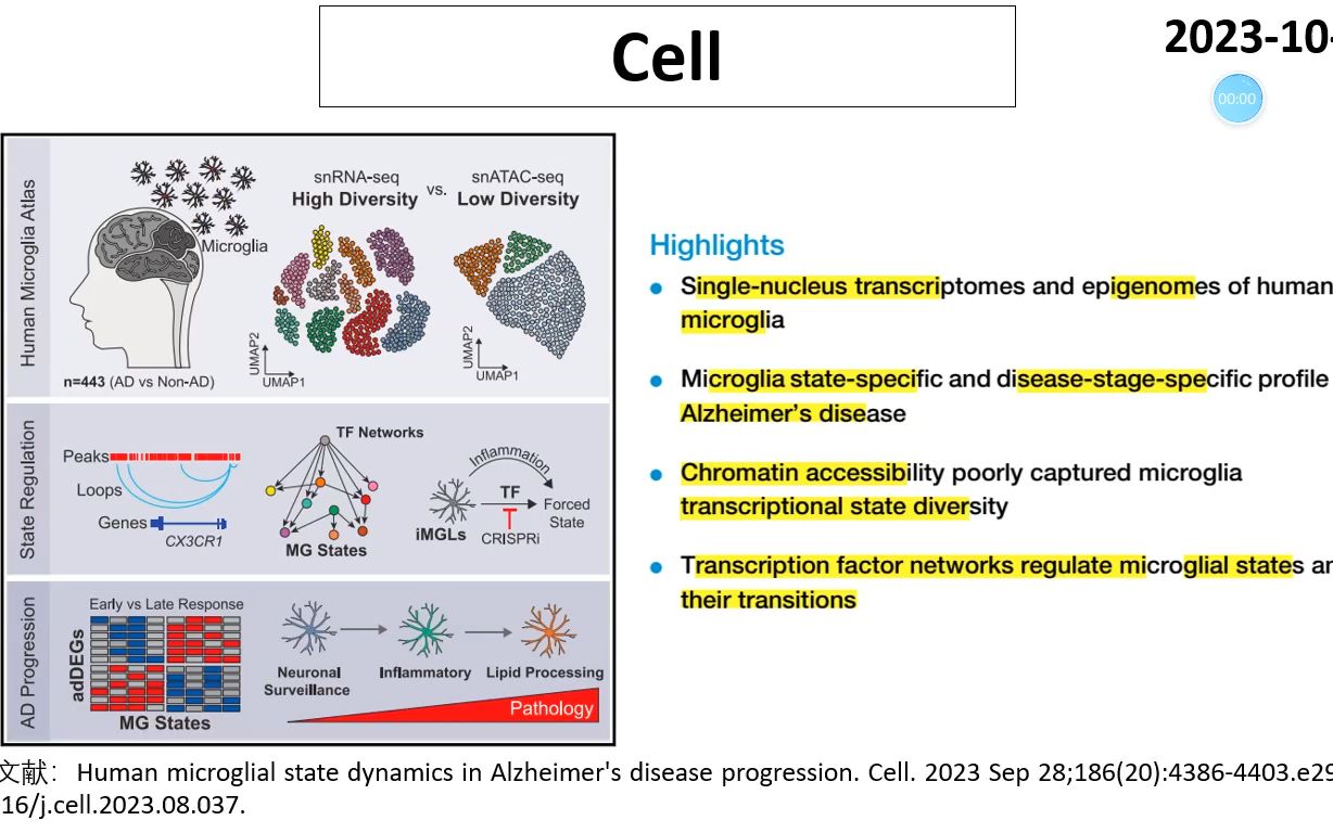 Cell—小胶质细胞分型和AD进展的关联哔哩哔哩bilibili