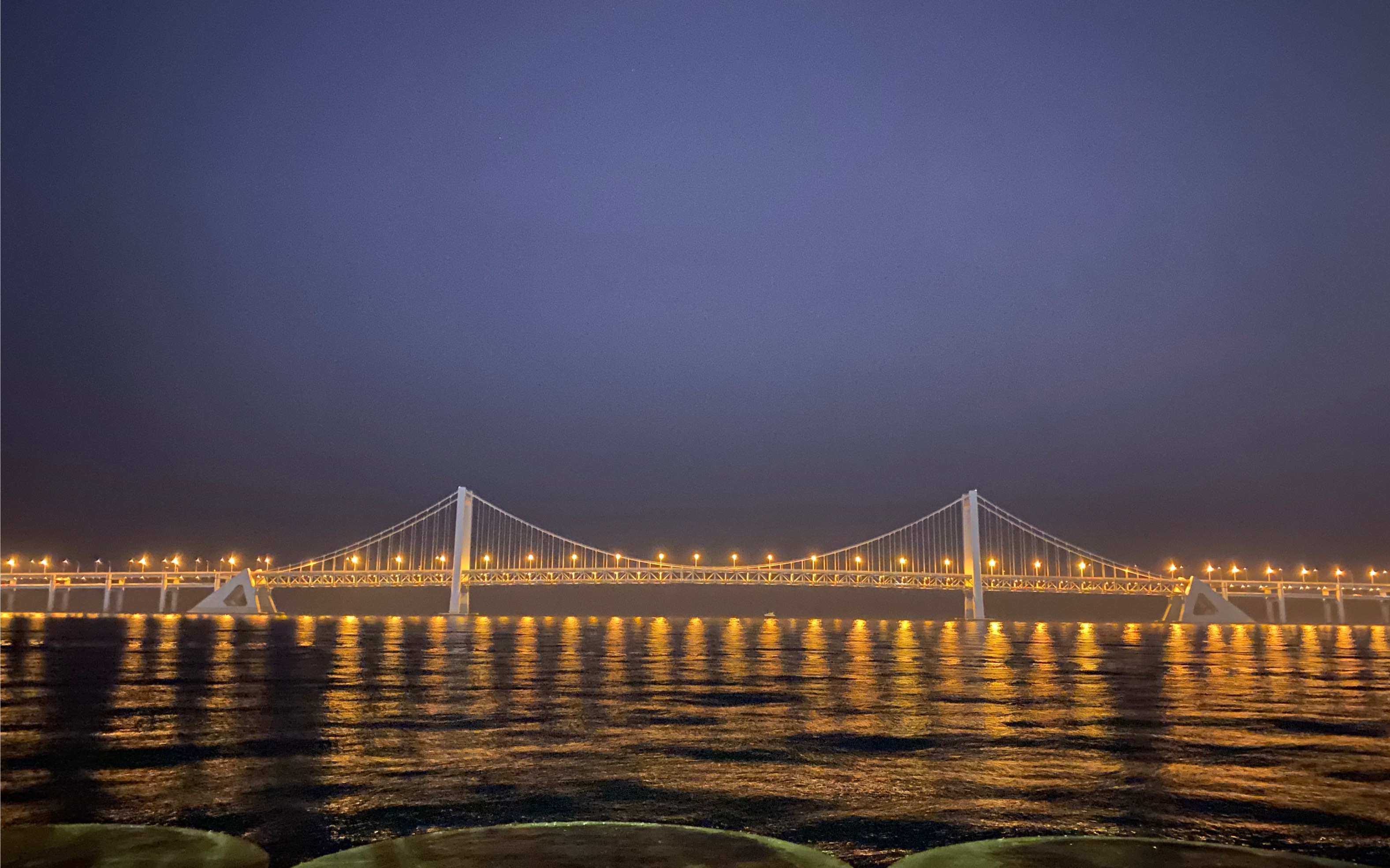 大连东港/老虎滩海洋公园/和朋友的闲聊